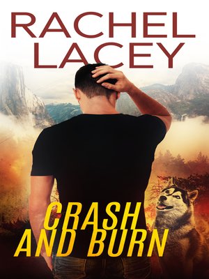 Crash and Burn - ebook